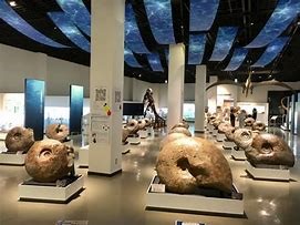 三笠市の化石博物館の写真です。巨大なアンモナイトが展示されていますね。