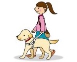 女性と歩く盲導犬のイラストです。
